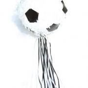 Pinata Forme